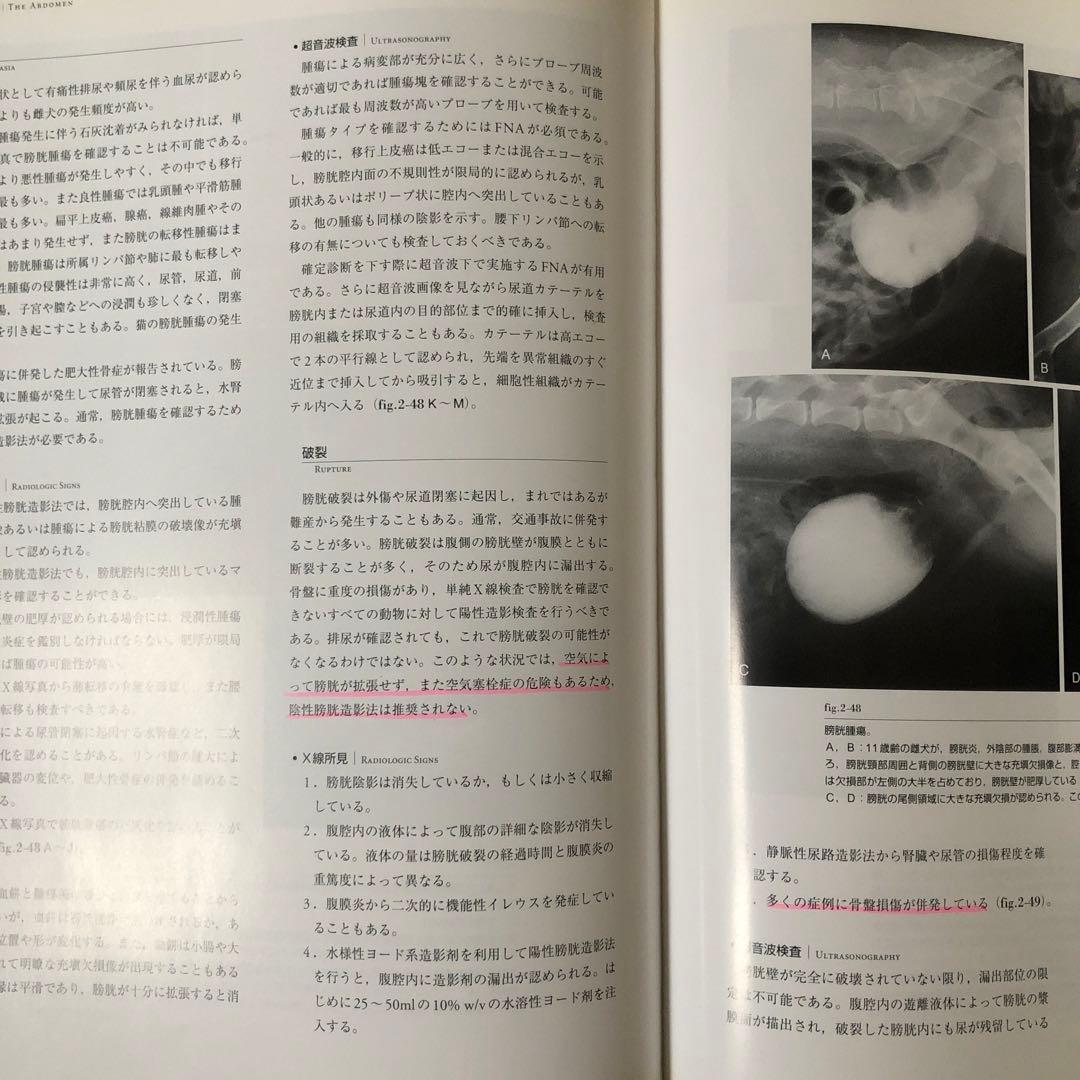 犬猫のX線および超音波診断学　獣医