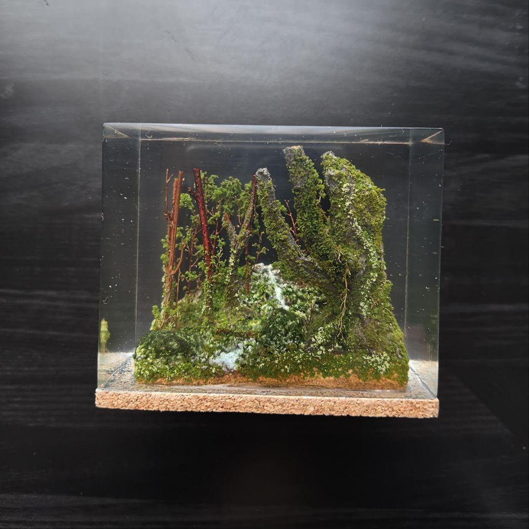od19　静寂の森