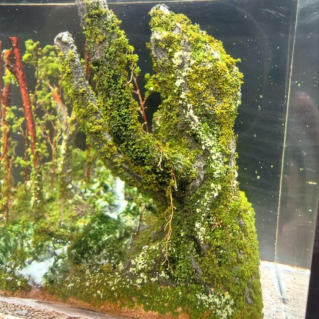 od19　静寂の森