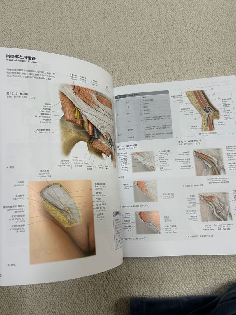 プロメテウス解剖学コアアトラス 第４版