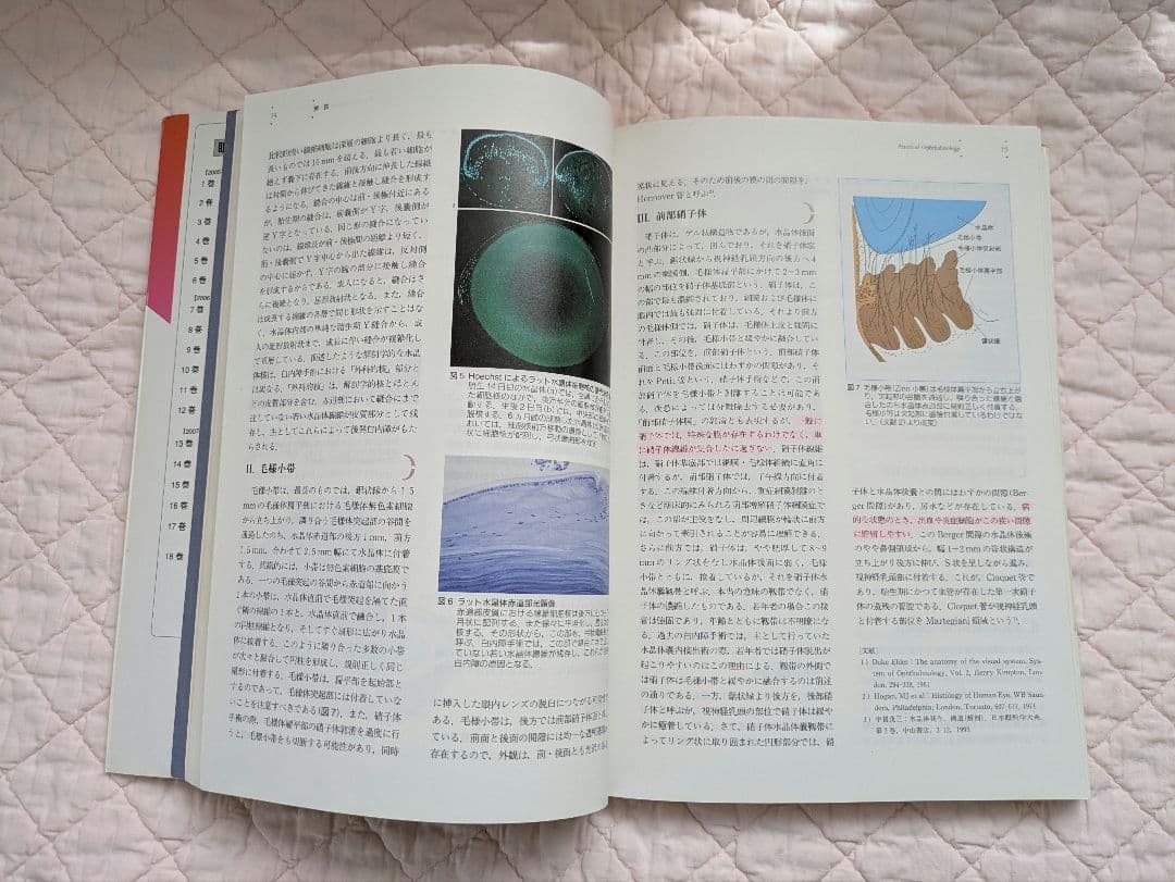 眼科プラクティス4 眼科所見の捉え方と描き方 文光堂