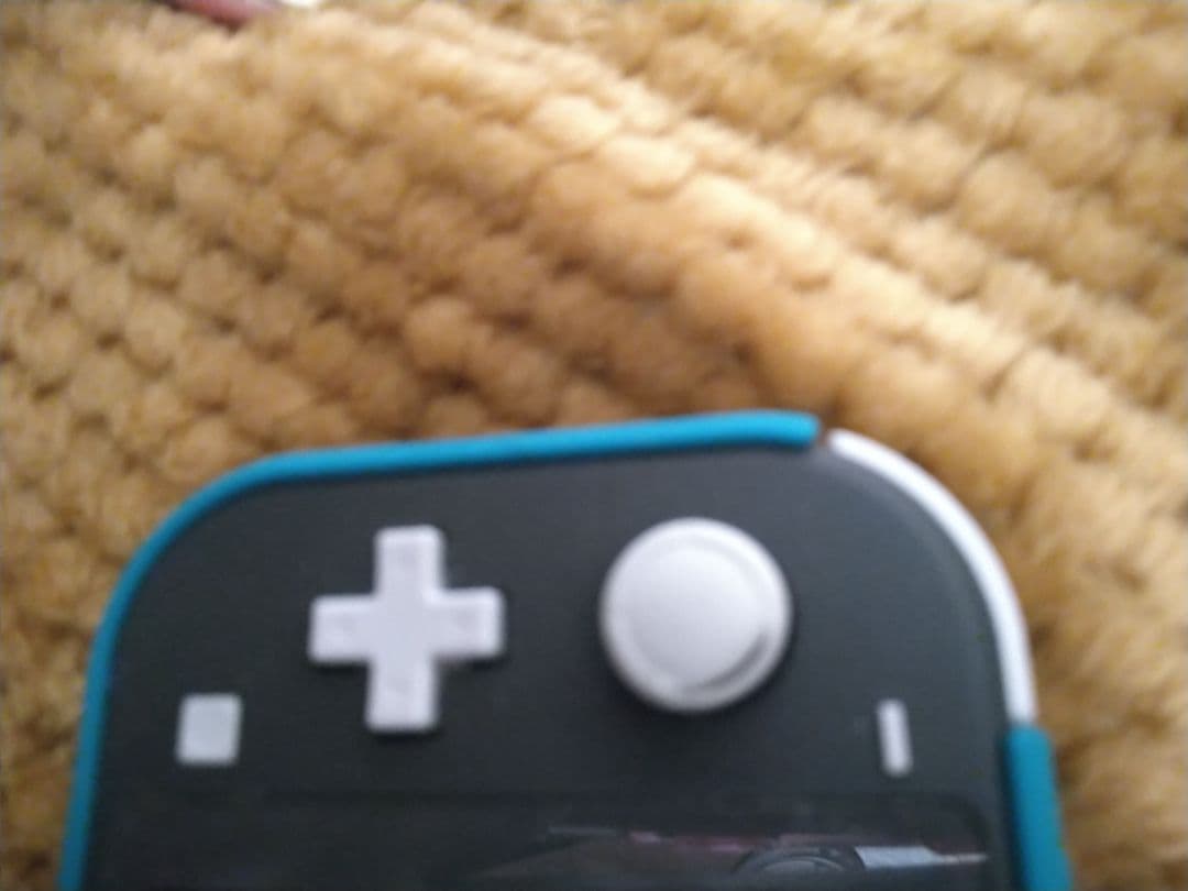 Nintendo Switch Lite 本体 箱 & カバー付き