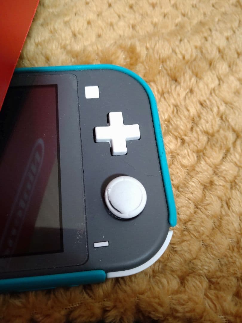Nintendo Switch Lite 本体 箱 & カバー付き