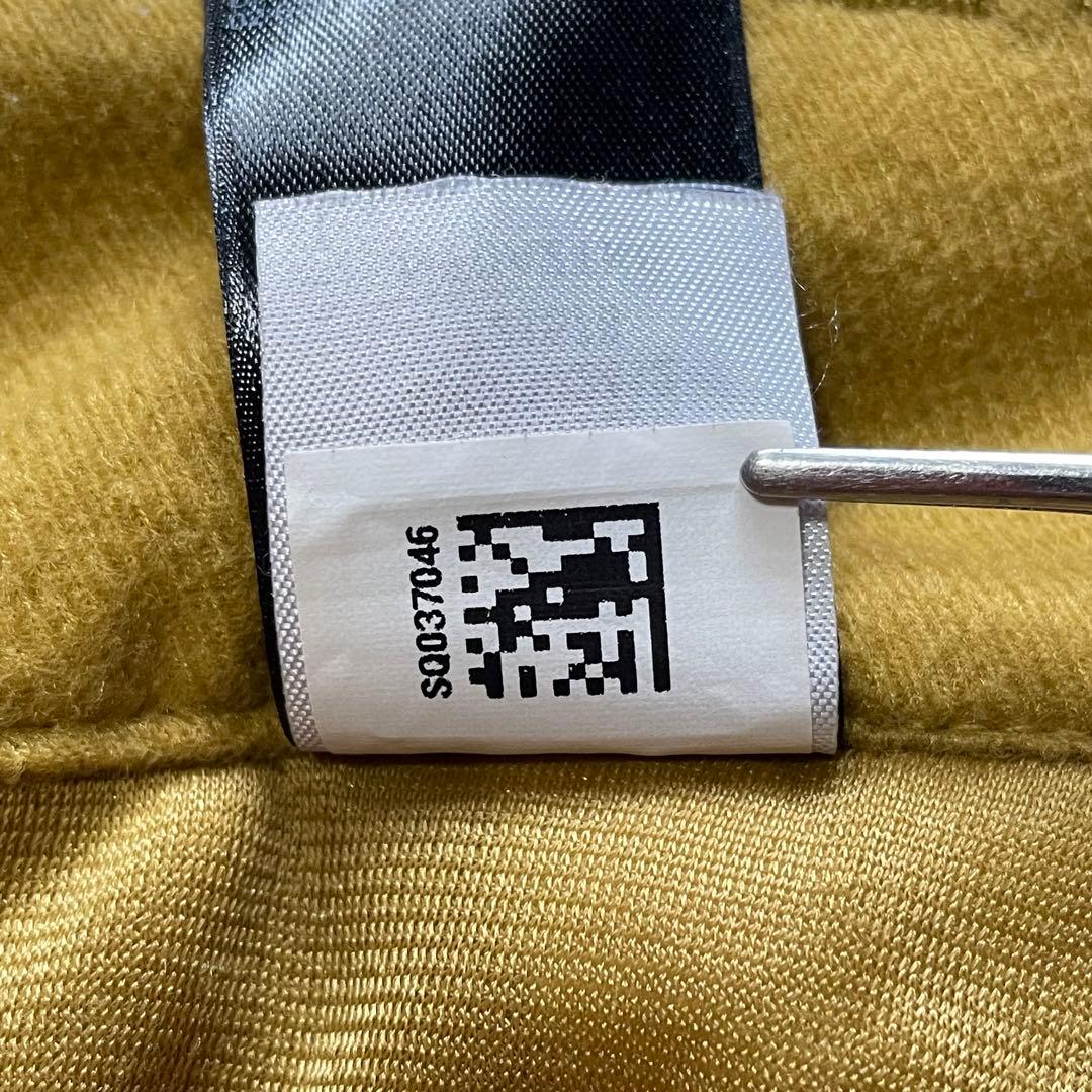 古着 THE NORTH FACE DRYVENT スノーボードパンツ ベージュ