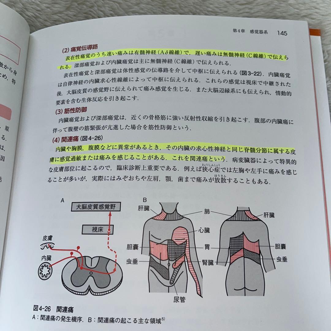 【まとめ売りでお得！】鍼灸学校教科書/全部 /鍼灸/鍼灸教科書/鍼灸師/教科書