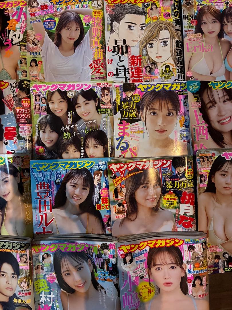 ヤングマガジン2025年下半期全巻セット