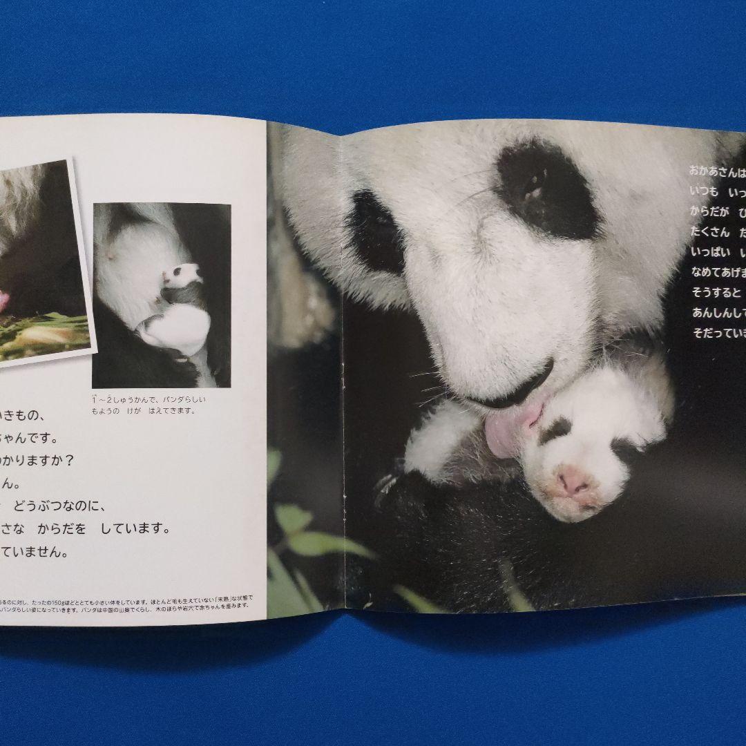 ビッグサイエンス　キンダーブックしぜん　どうぶつのあかちゃん　うまれる