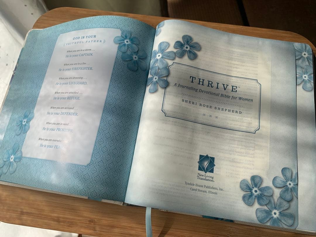 ★週末値下げ【希少品】英語の聖書　NLT Thrive Bible ノート欄付き