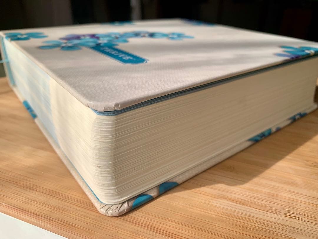 ★週末値下げ【希少品】英語の聖書　NLT Thrive Bible ノート欄付き