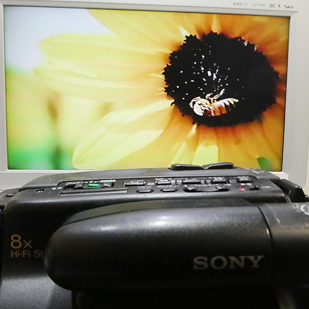 動作良好 Hi8ソニー CCD-TR75 8ミリビデオカメラ DVD化に最適