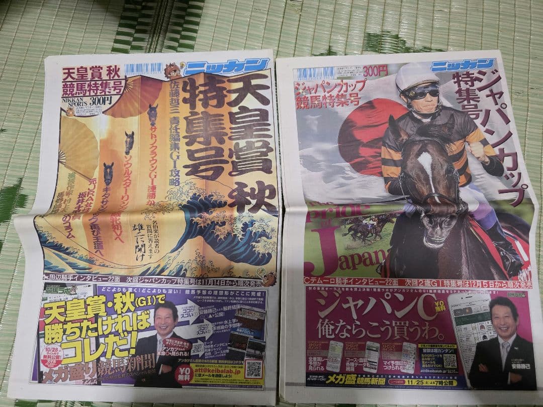 日刊スポーツ競馬新聞特集号2017