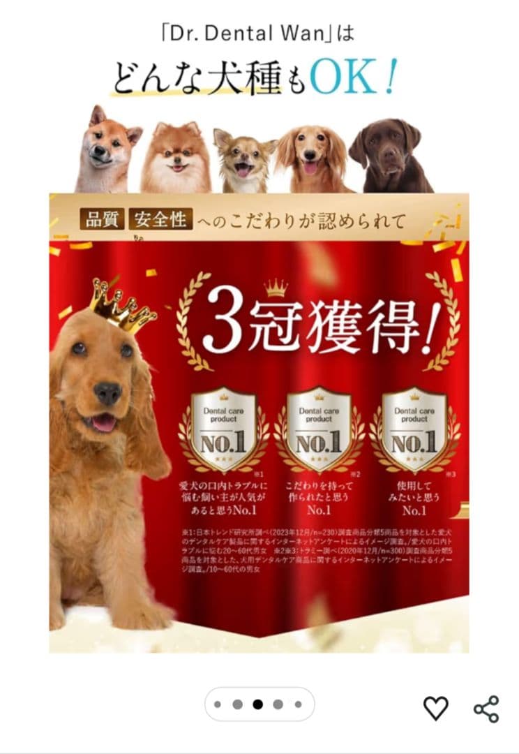 Dr. Dental Wan ビーフ味 口腔ジェル 30g 2本