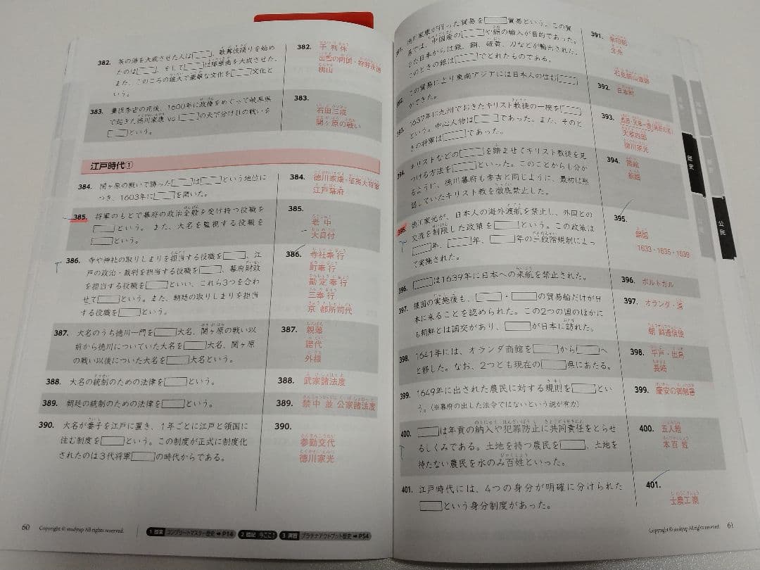 プラチナインプット 2024/2025年版　スタディアップ