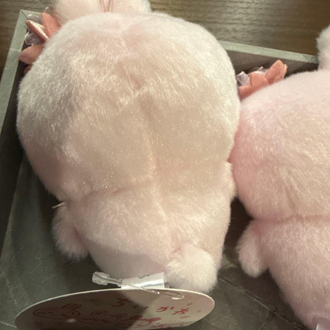 ちいかわ ぬいぱれっと ～さくらいろ～ マスコット うさぎ ４個