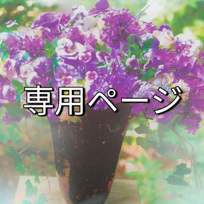 ゆうゆ（感謝）/3