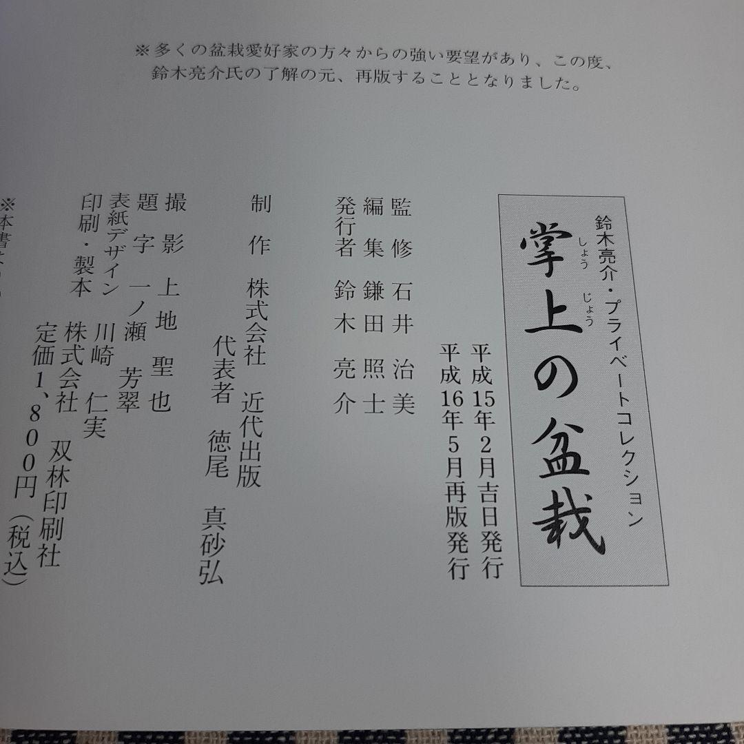 C7☆豆ボンサイ　掌上の盆栽☆鈴木亮介☆