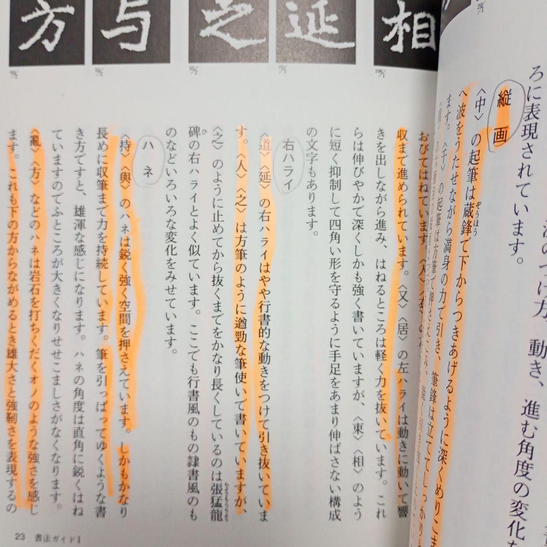 中国法書ガイド 11冊 セット まとめ売 二玄社 王羲之 顔真卿 欧陽詢 楮遂良