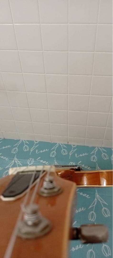 YAMAHA SA-60 セミアコ