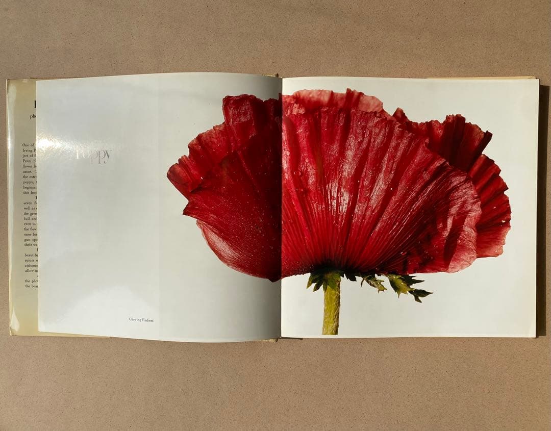 Irving Penn Flowers アーヴィングペン 初版　写真集