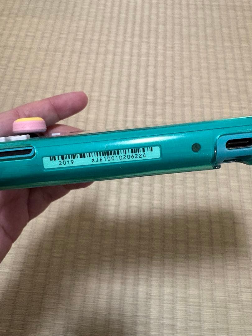 Switch Lite ターコイズ 充電器・ケース・ソフト・イヤホン付き