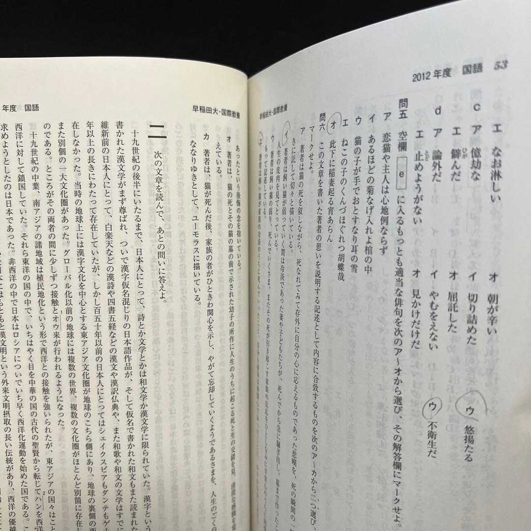 早稲田大学　国際教養学部　2010年～2019年　10年分　赤本