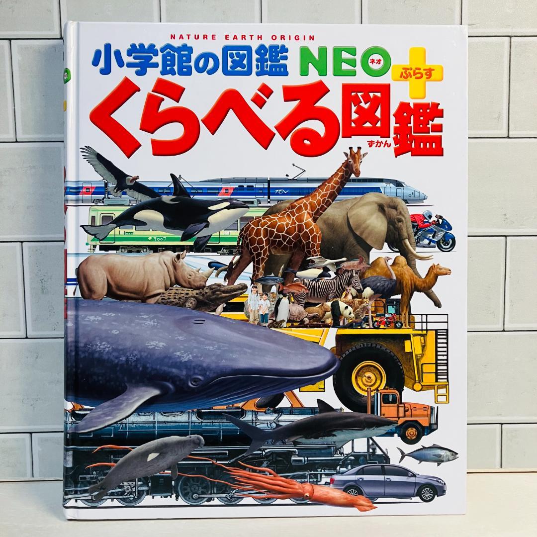 【定番の図鑑】小学館の図鑑NEO5冊＋プレNEO5冊 きせつの図鑑 ふしぎの図鑑