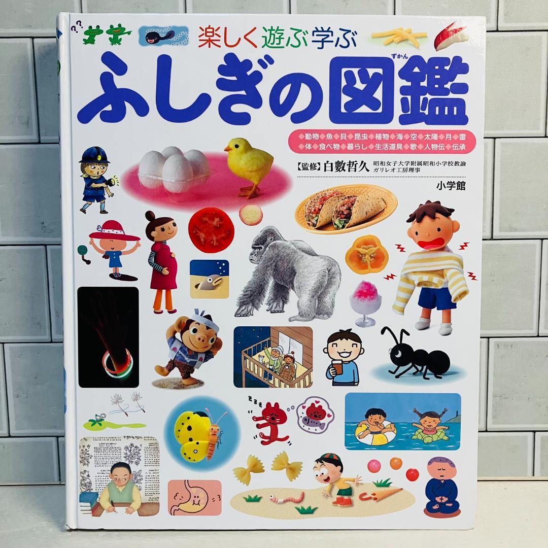 【定番の図鑑】小学館の図鑑NEO5冊＋プレNEO5冊 きせつの図鑑 ふしぎの図鑑