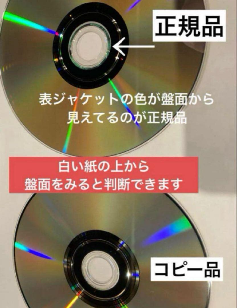ジブリDVD11枚　本編ディスク10枚ともののけ姫8ヶ国語版合計11枚(199)