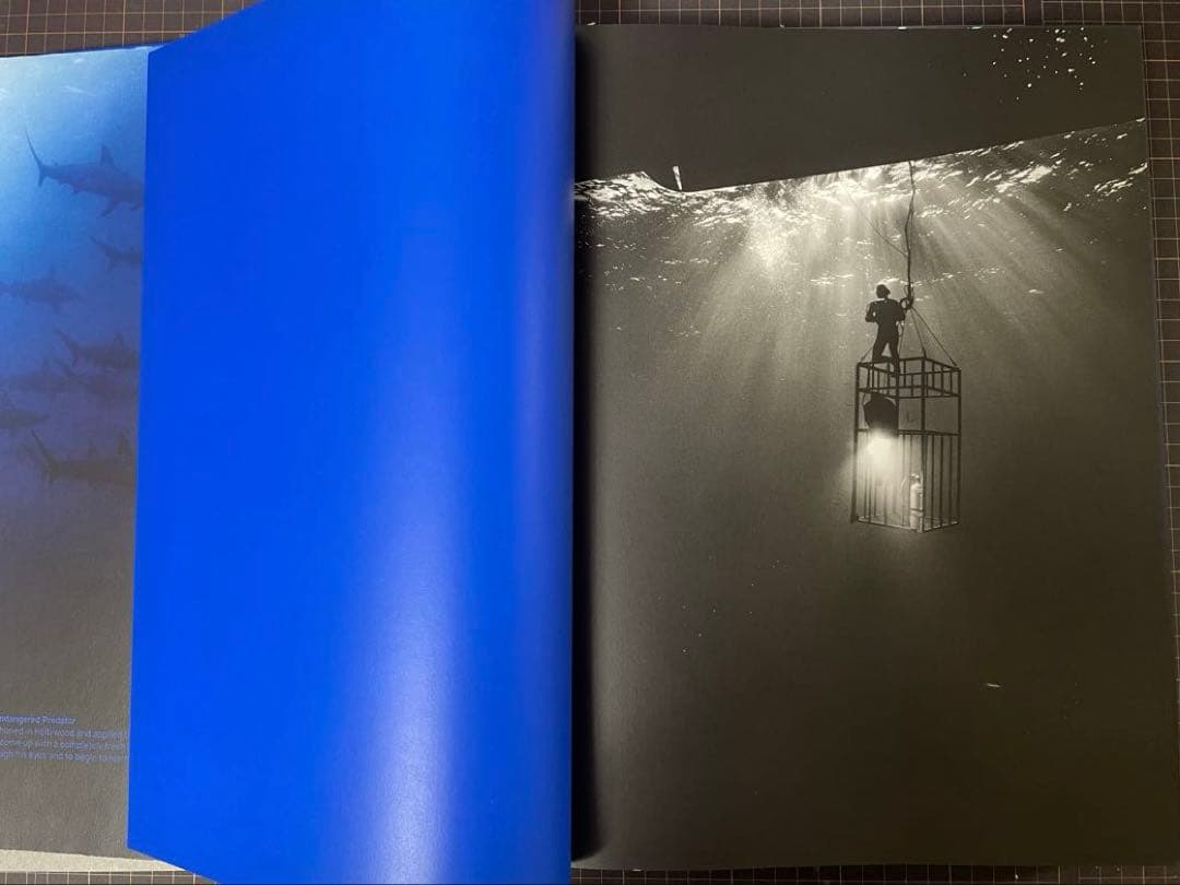 アート・デザイン・音楽 Michael Muller Sharks TASCHEN Books