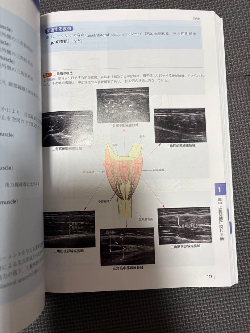 機能解剖学的触診技術 改訂第2版 2冊セット　理学療法士　作業療法士　リハビリ