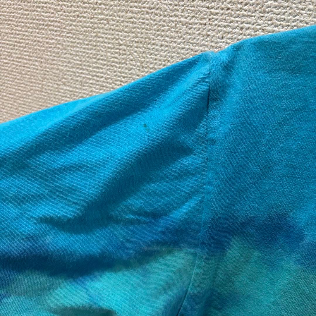 90'スプラッシュマウンテン Tシャツ Disney ディズニー