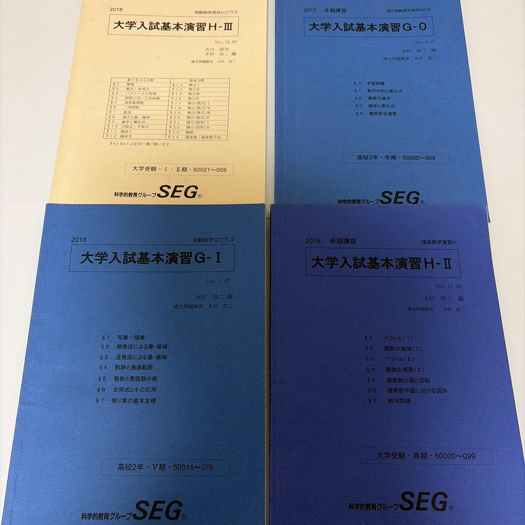 SEG 大学入試基本演習　高2高3 クリーム・青　全板書・プリント・解説ノート