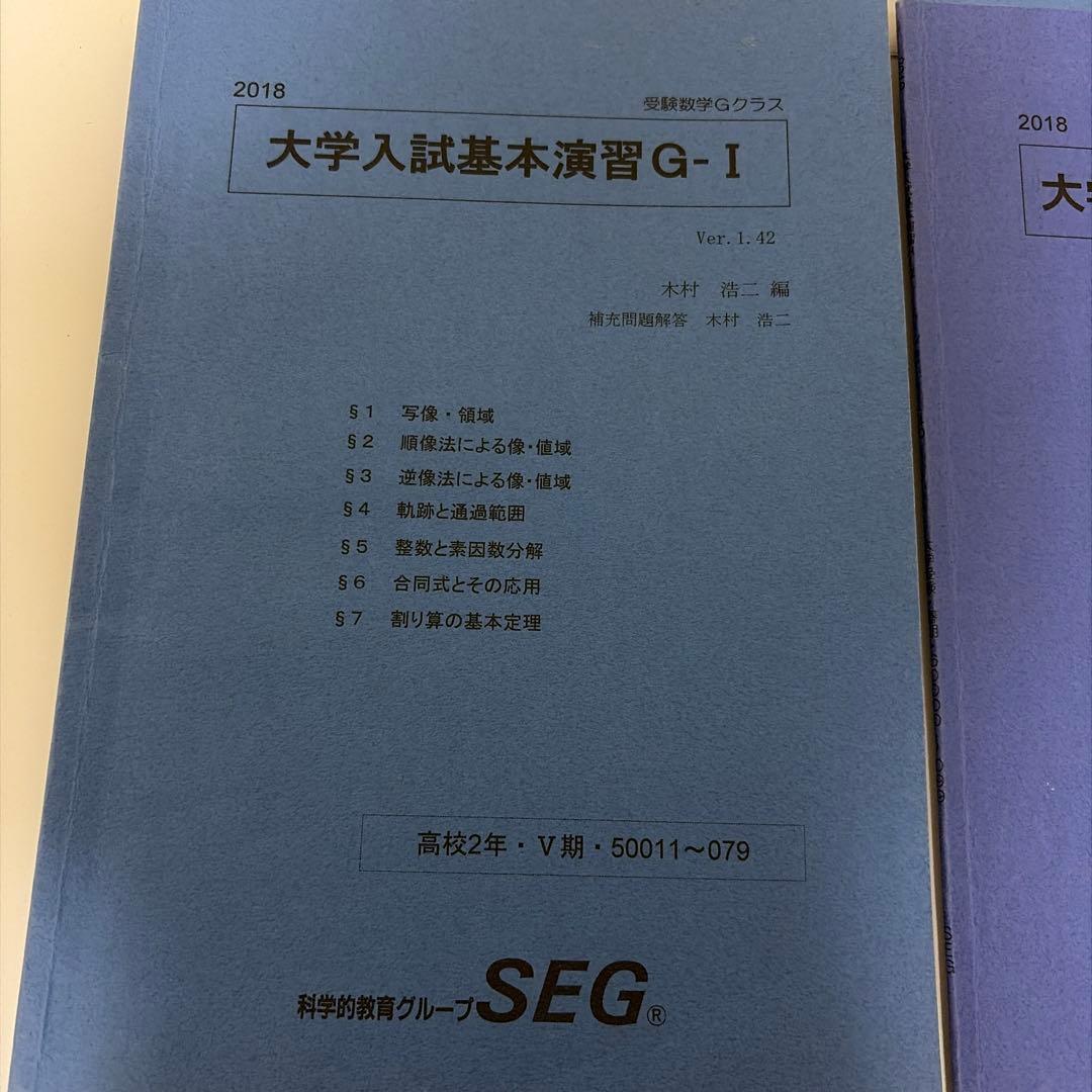 SEG 大学入試基本演習　高2高3 クリーム・青　全板書・プリント・解説ノート