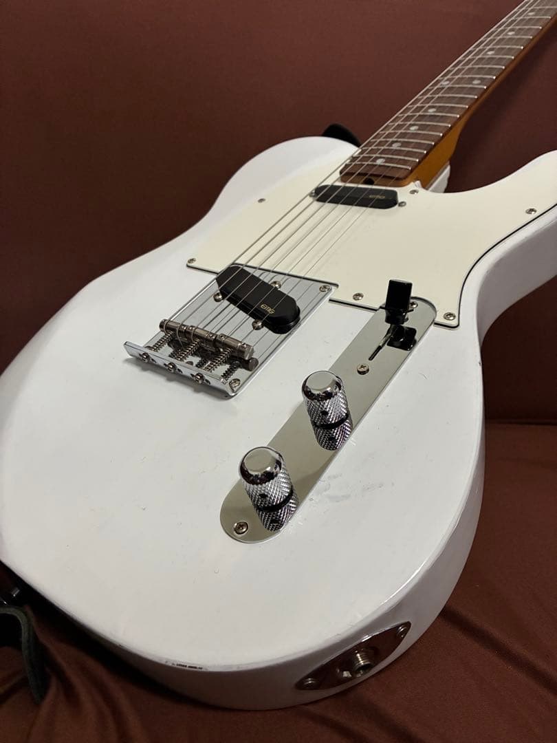 ☆fender コンポーネントテレキャスター☆EMG・ステンレスフレット