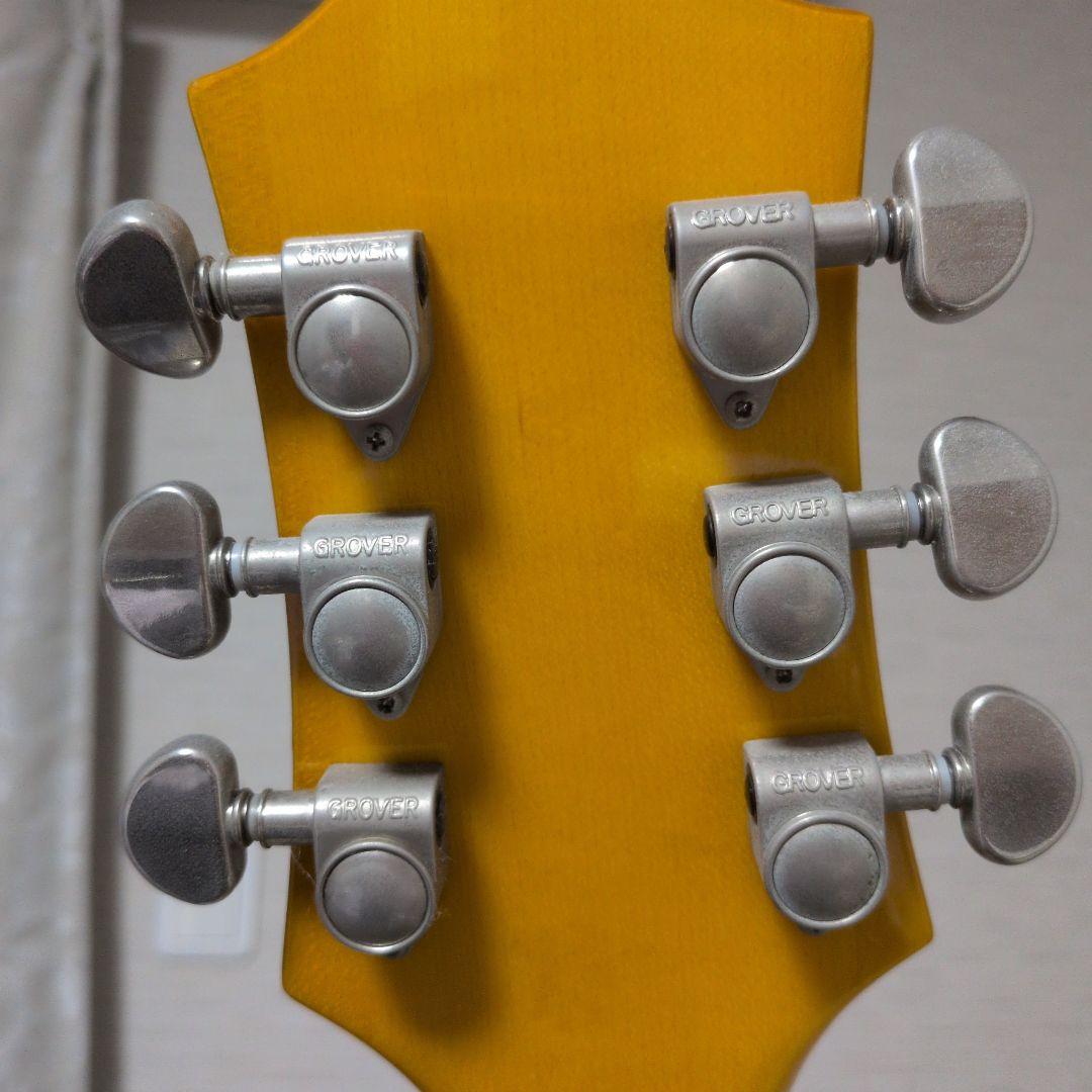 Epiphone wildkatセミホロウボディ ギター（最終値下げ）