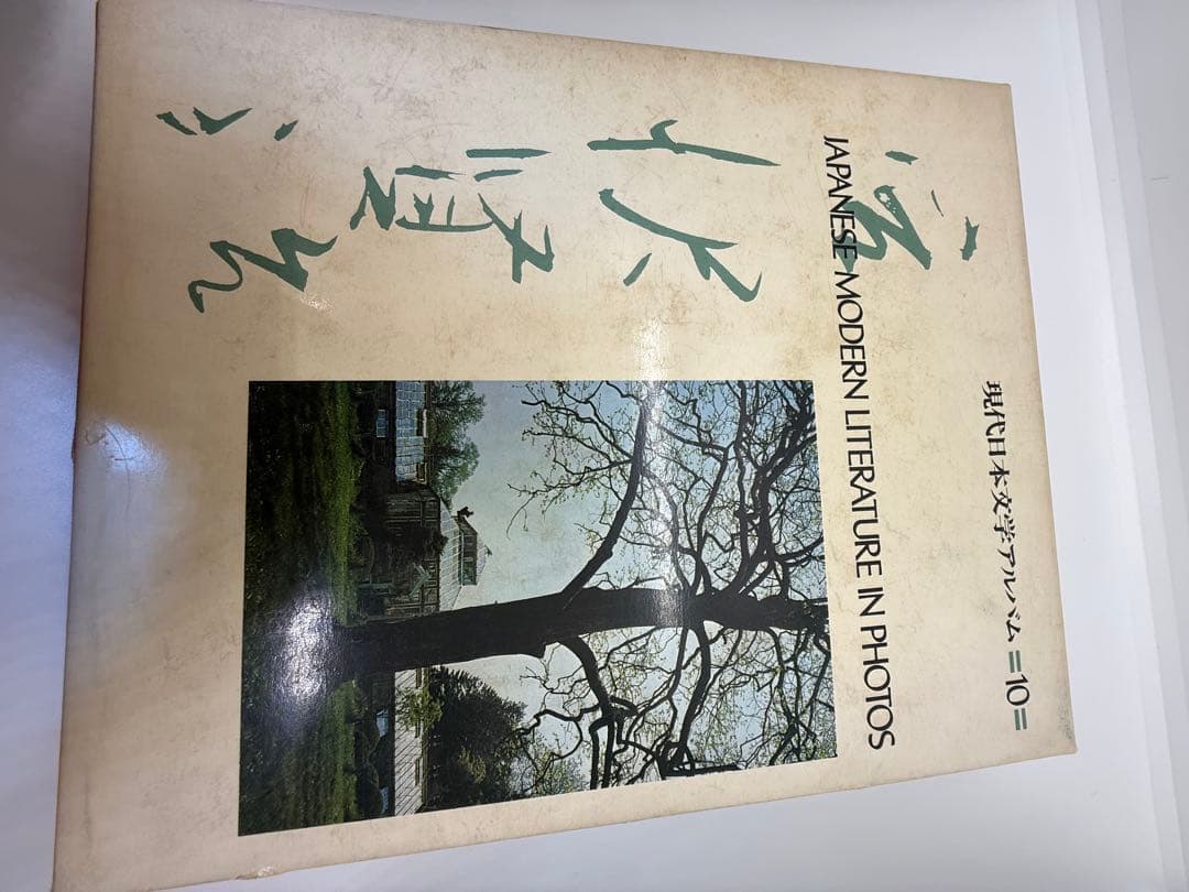 現代日本文学アルバム第10巻 【宮沢賢治】写真で見る日本近代文学