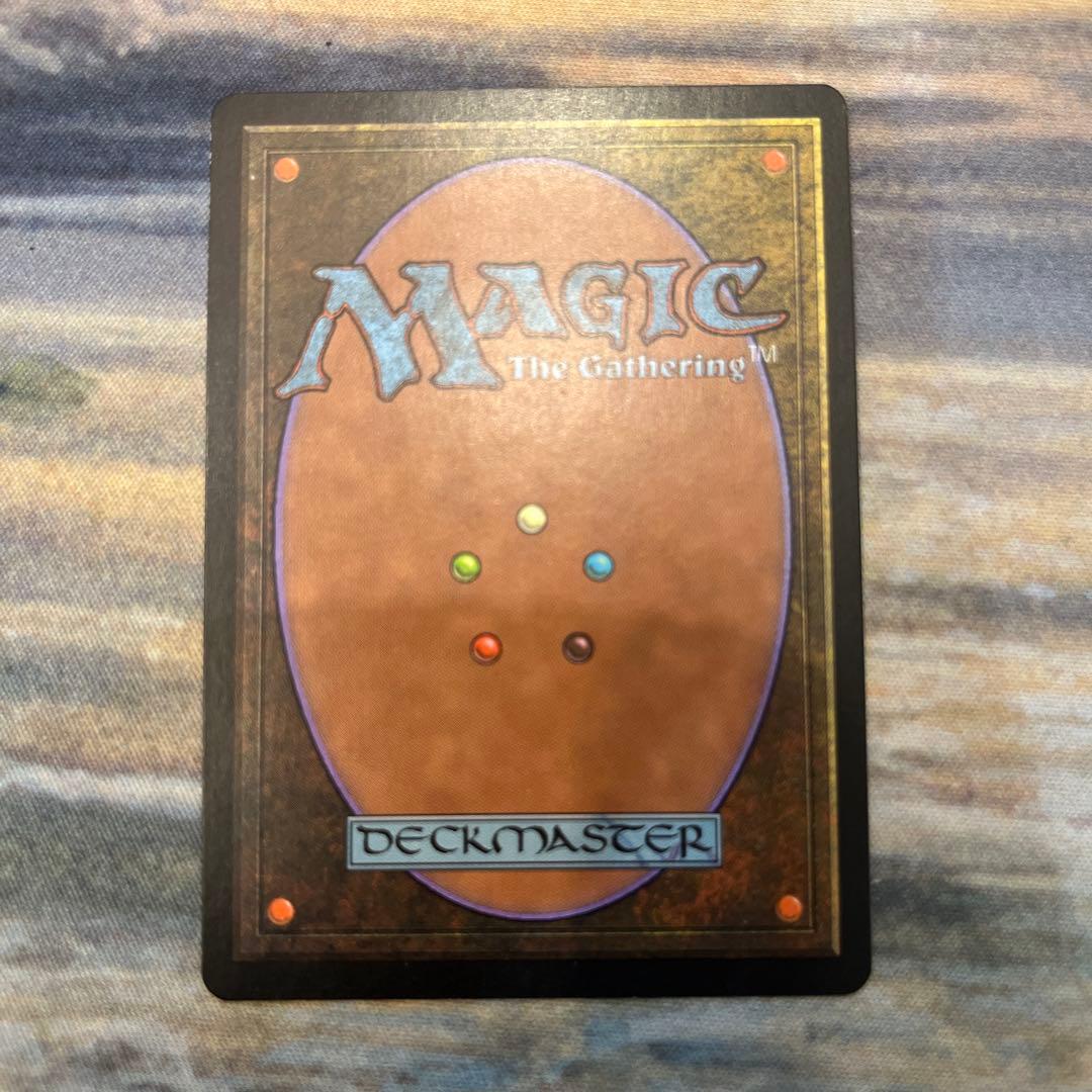 mtg 大地の知識　テンペスト 旧枠