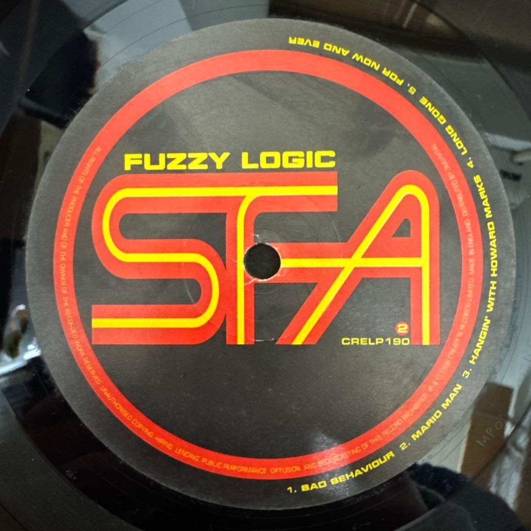 SUPER FURRY ANIMALS『FUZZY LOGIC』LP レコード