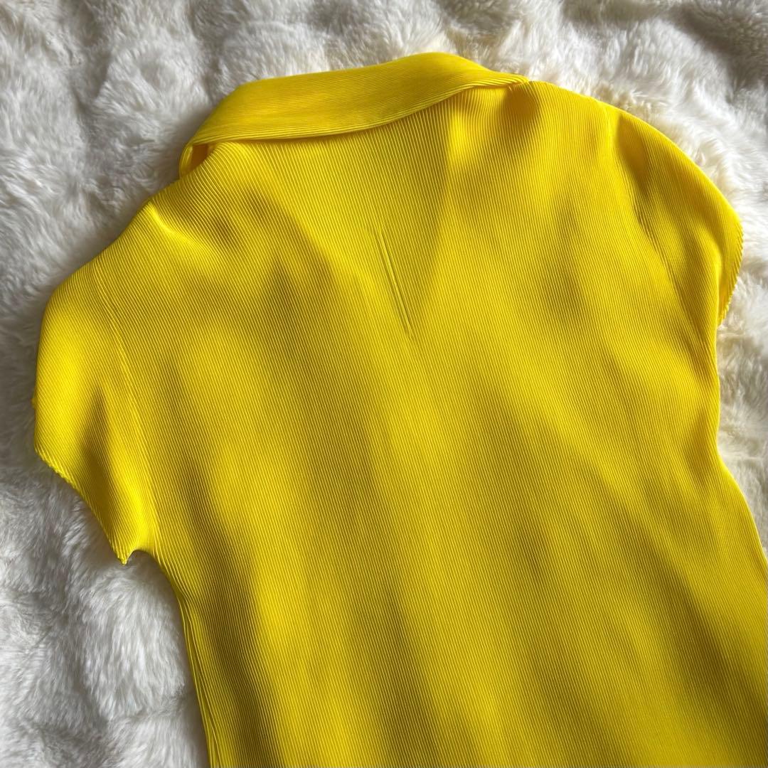綺麗✨　PLEATS PLEASE イッセイミヤケ　カットソー　半袖　ポロ