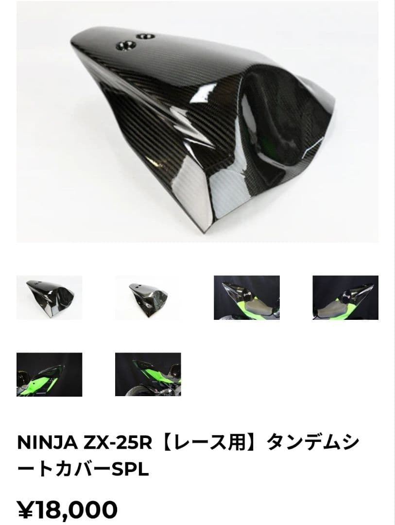 のい❗️NINJA ZX-25R A-TECH製レース用タンデムシート