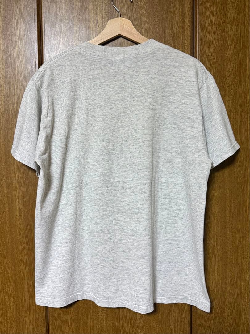 90s USA製 UC SANTA CRUZ BANANA SLUGS Tシャツ