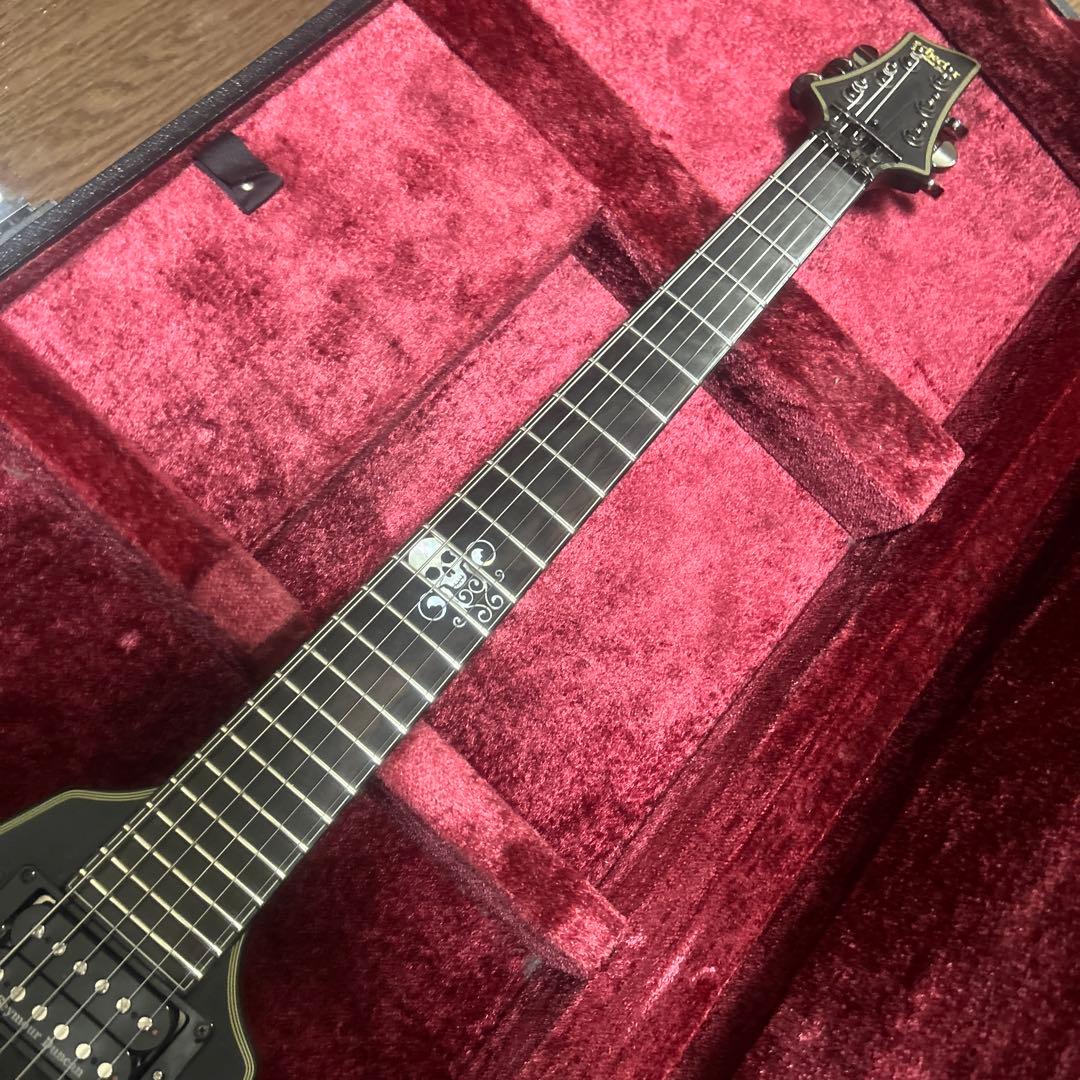 専用Schecter Blackjack SLS-V エレキギター カスタム多数