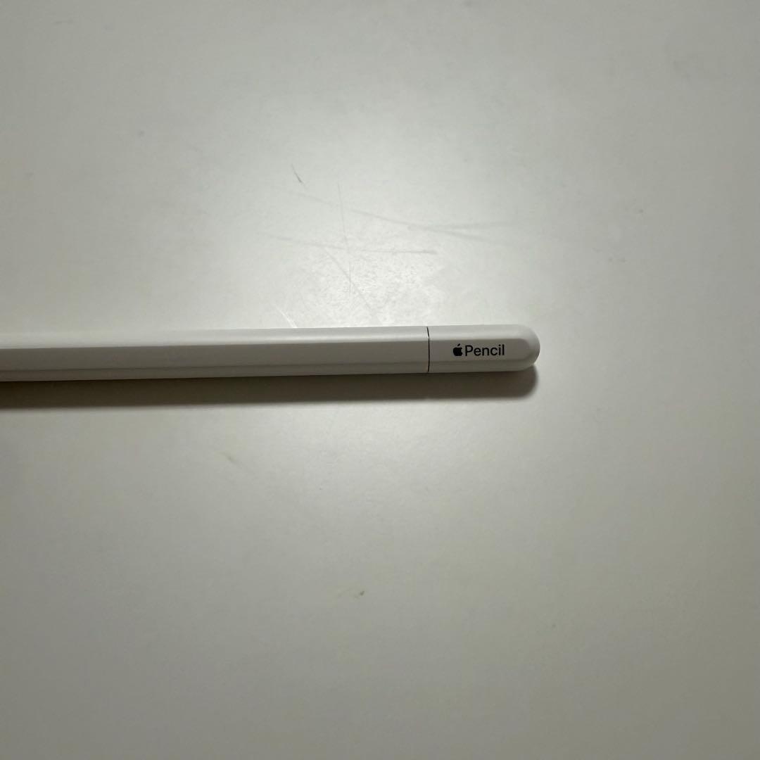 Apple Pencil USB-C アップルペンシル 純正