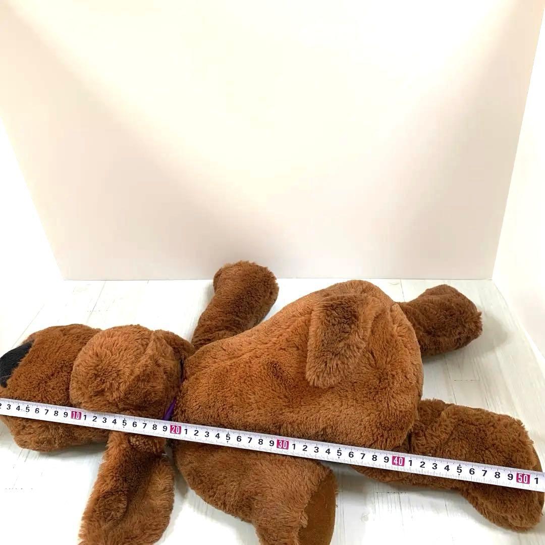 V☆ 子犬のルーク　大きいサイズ　55センチ