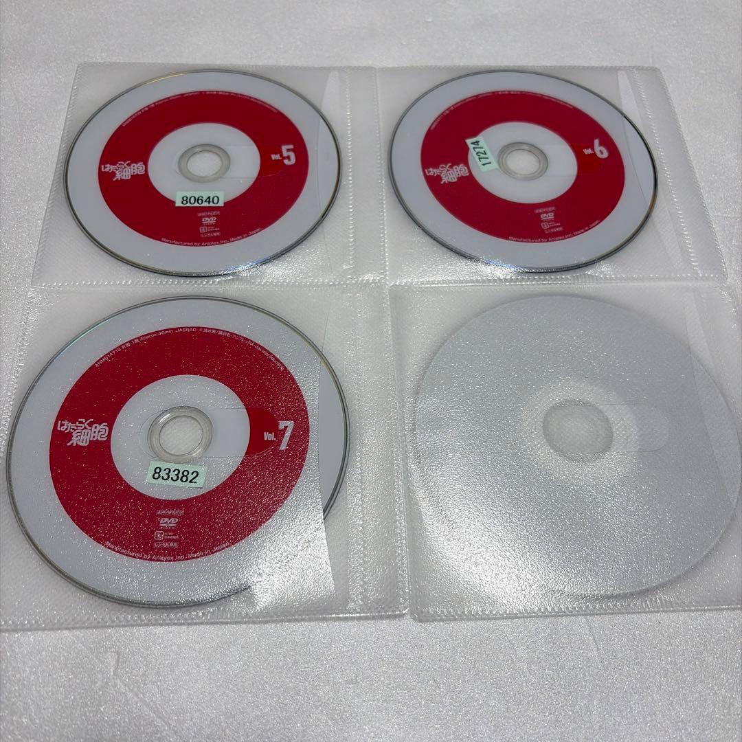 はたらく細胞 1期　レンタル落ちDVD アニメ 全巻セット