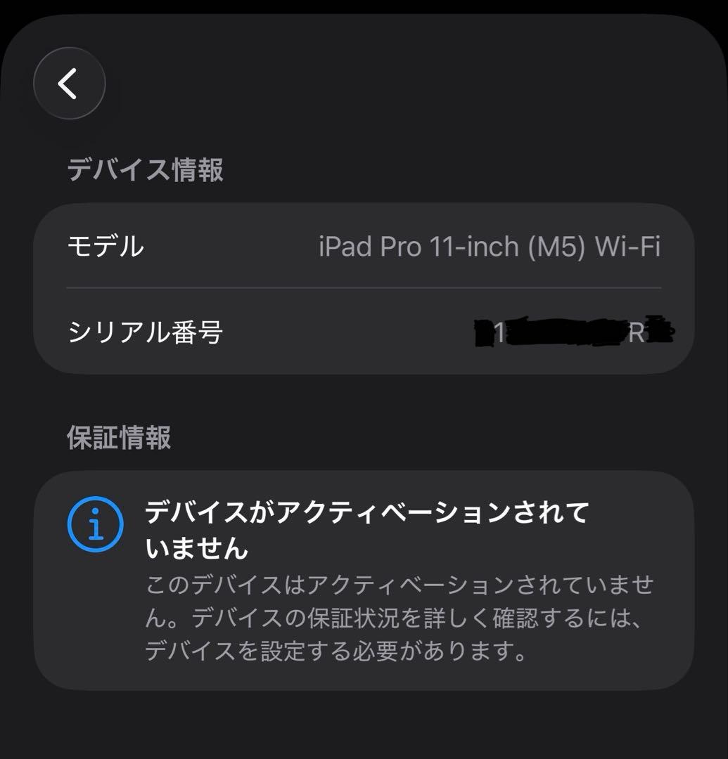 新品未開封 iPad Pro 11インチ M5 256GB WiFi