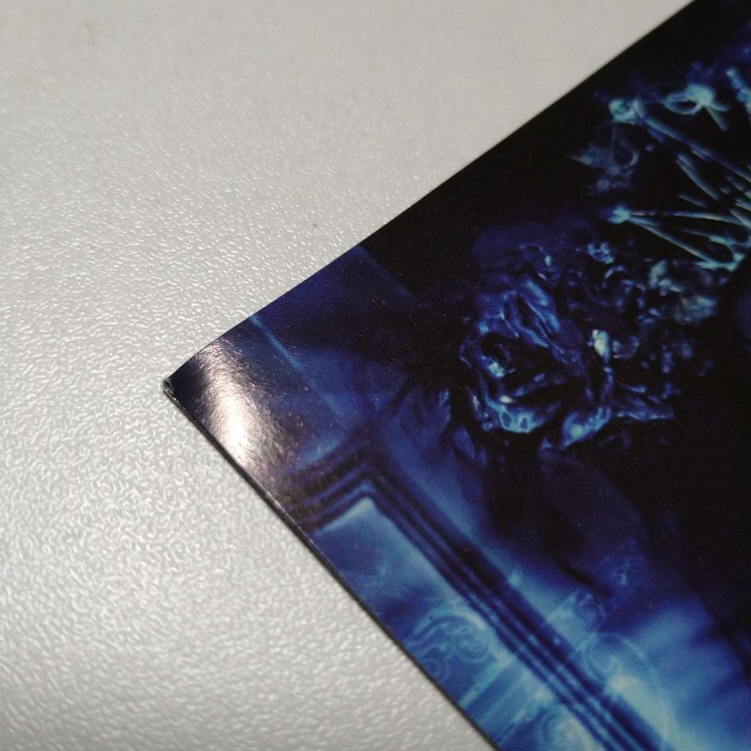 VELVET EDEN Witch of flames CD V系