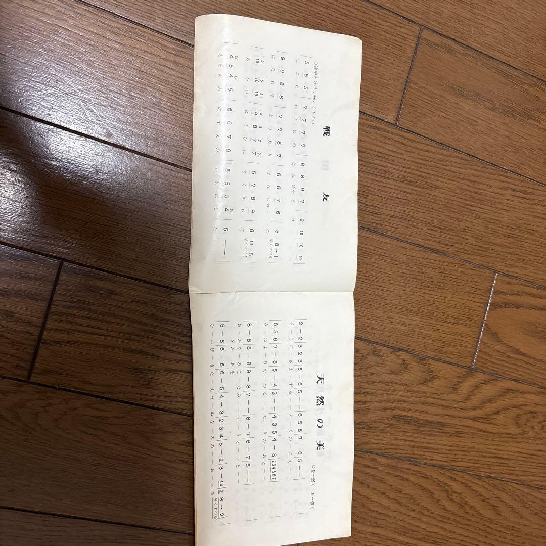 木製琴 13弦 専用ケース付き