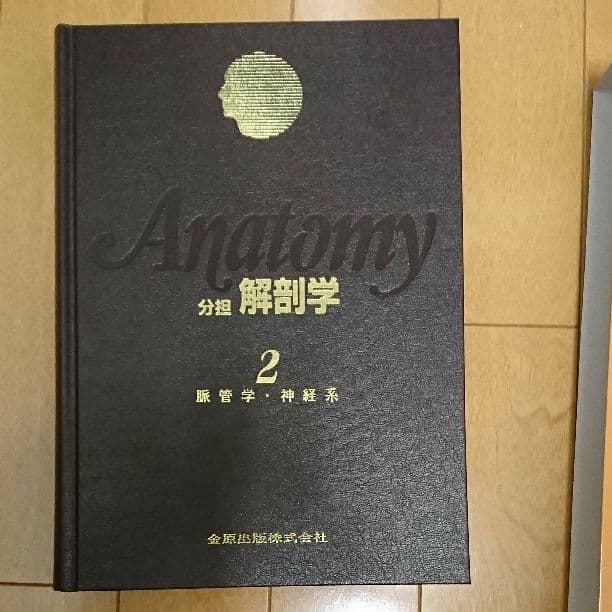 分担解剖学2