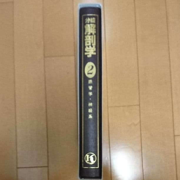 分担解剖学2